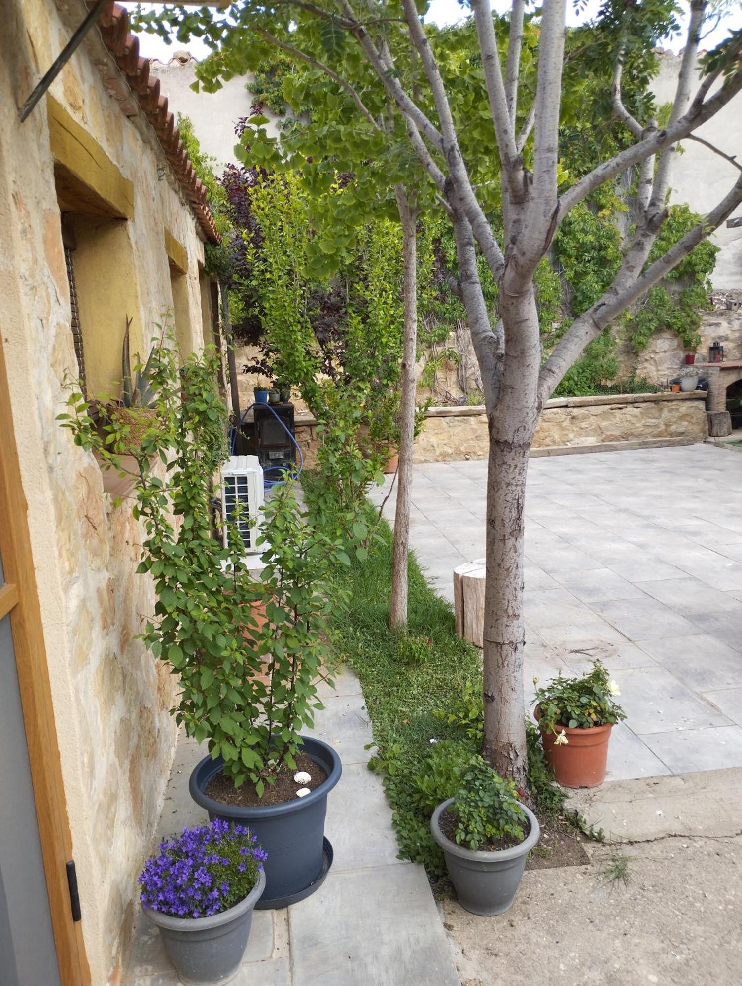 Casa Rural El Olivo Puigmoreno Bagian luar foto